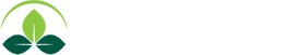 Evergreen Landscape & Design