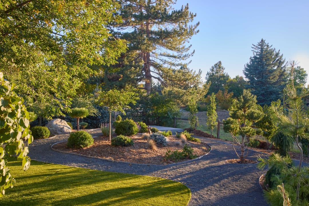 Serene garden landscape with diverse trees, shrubs, and pathways under a clear blue sky.