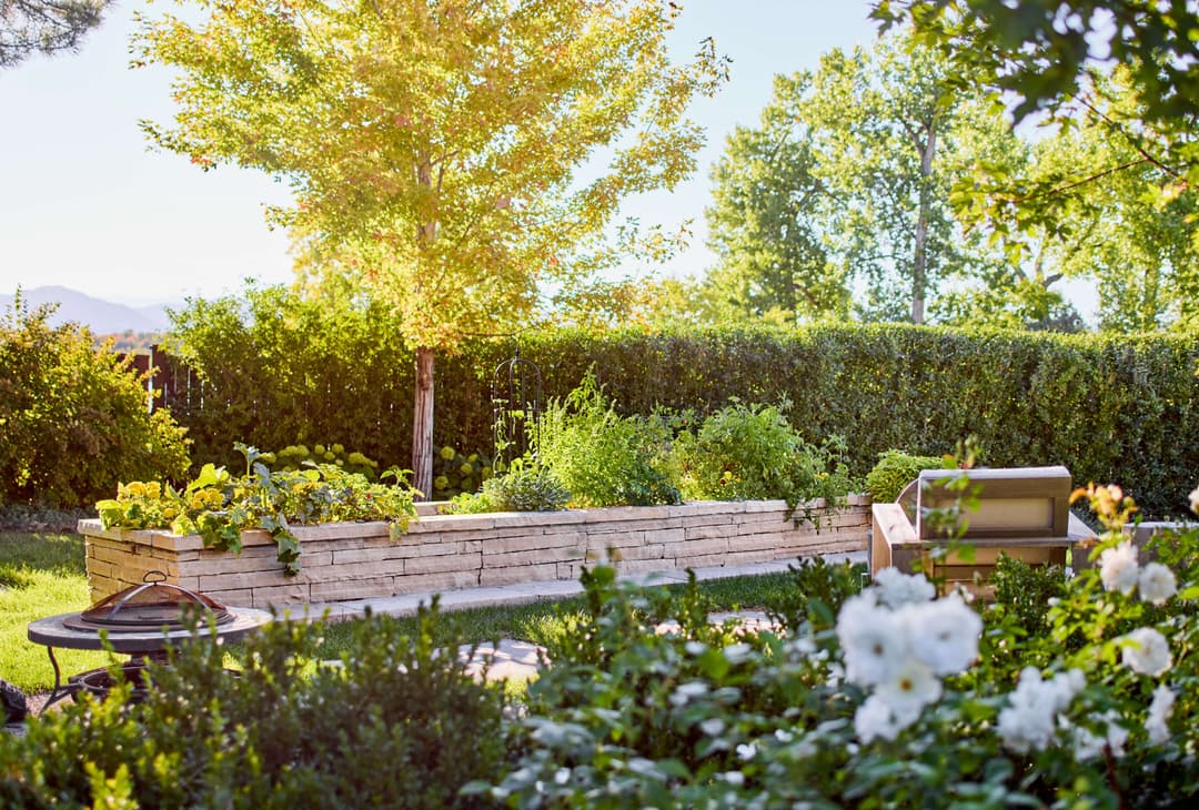 Lush garden with wooden raised beds, blooming flowers, and vibrant greenery under sunlight.
