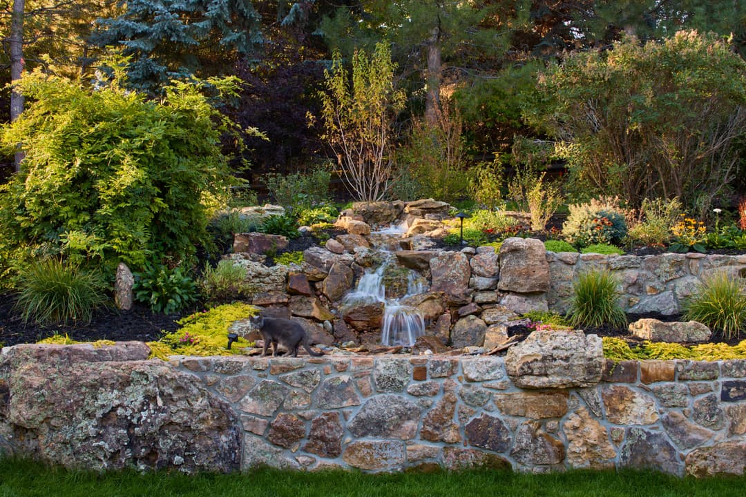 Lush garden landscape with a waterfall, stones, and a gray cat walking nearby.