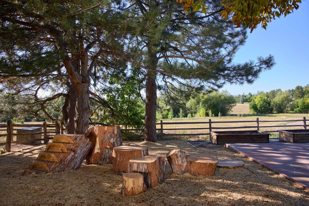 Natural playground with wooden logs, tree shade, and open field in the background.