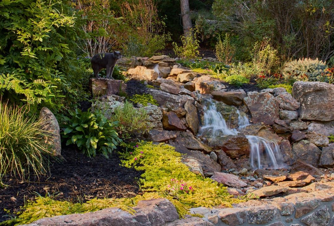 Cat beside a tranquil stone waterfall in a lush garden setting.