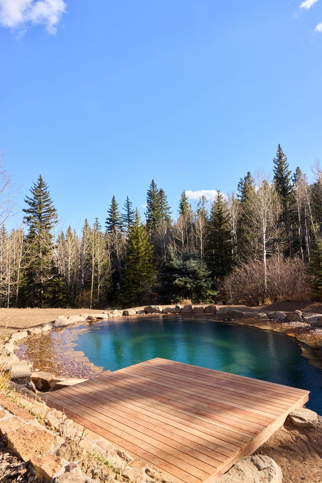 Natural swimming pool surrounded by tall trees and clear blue sky, enhanced by wooden deck.