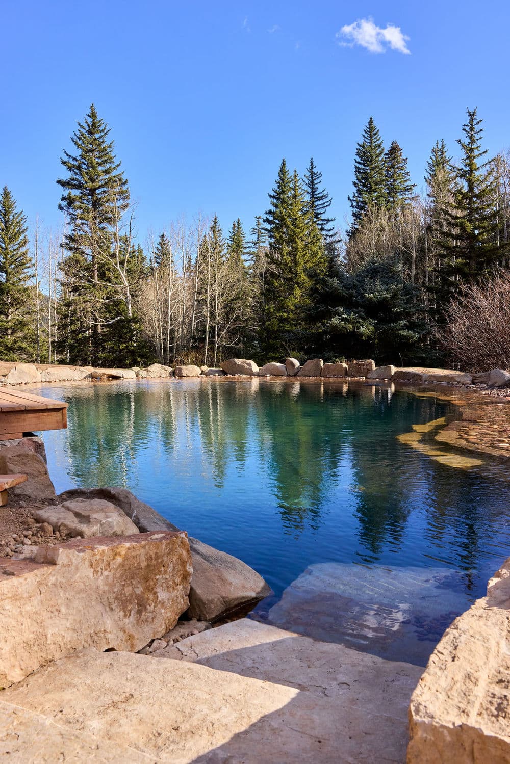 Serene natural pool surrounded by evergreen trees and clear blue sky. Perfect for relaxation.