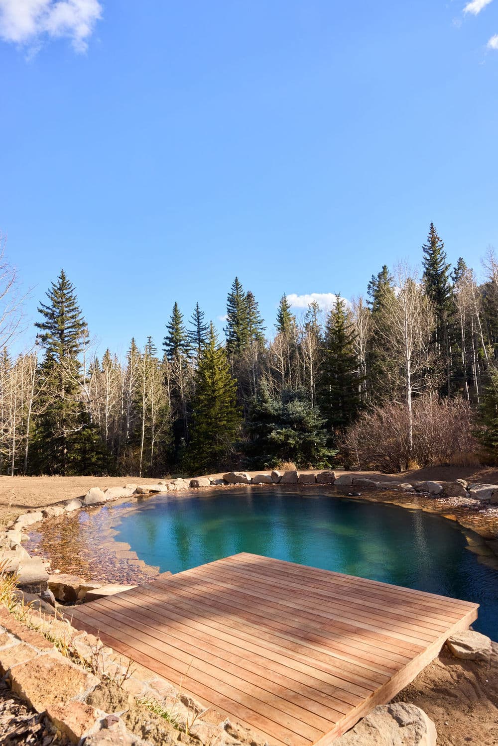 Natural swimming pool with wooden deck surrounded by evergreen trees and blue sky.